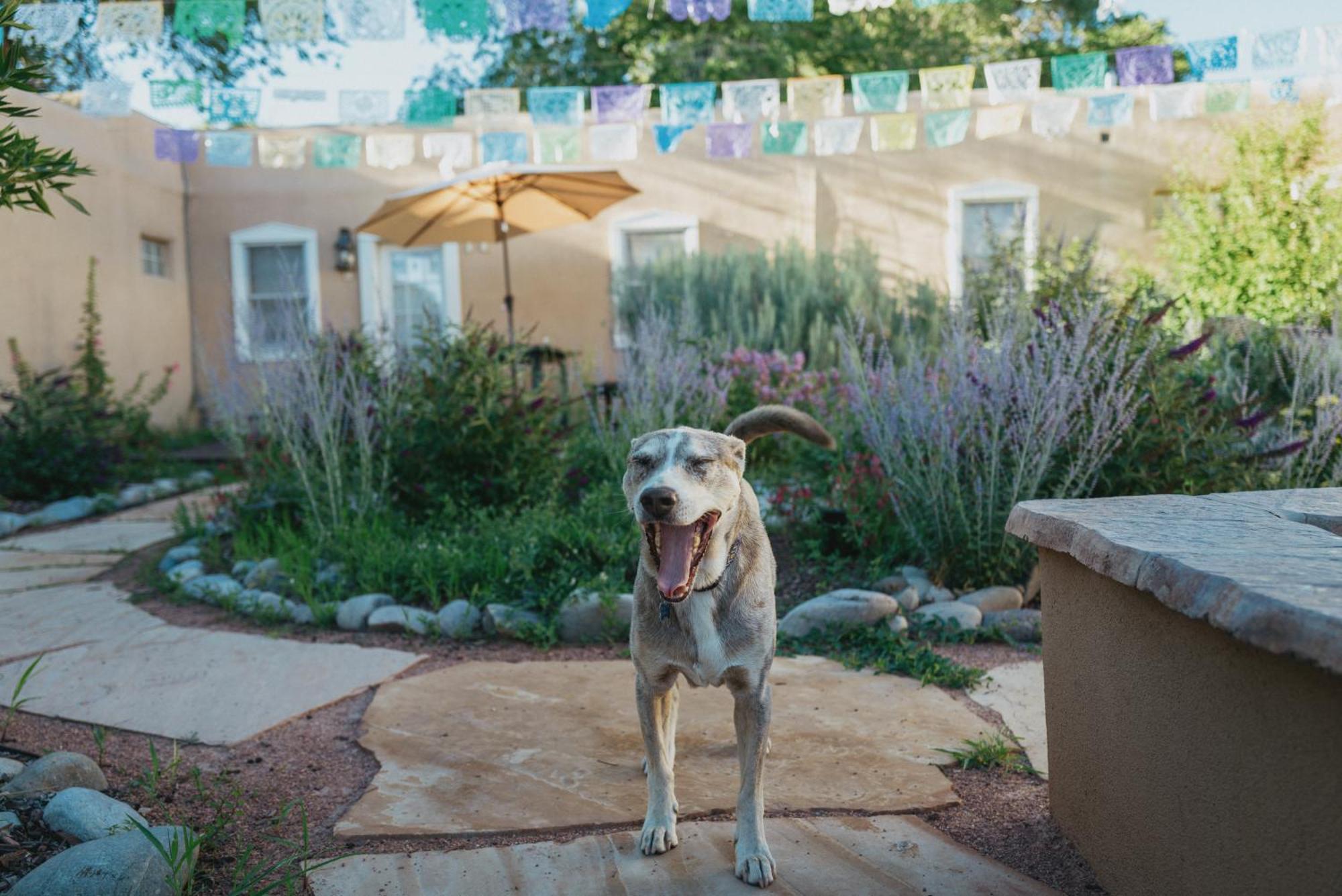 Dos Hermanas Casita 8 Downtown Courtyard Patio *